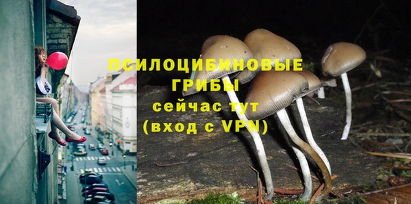 синтетический гашиш Лабытнанги