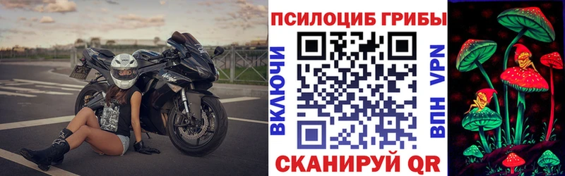 закладка  Городище  Галлюциногенные грибы Magic Shrooms 
