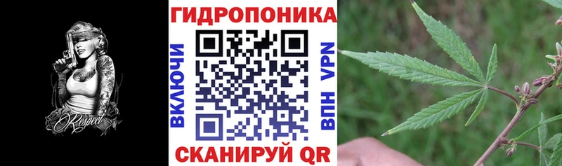 Бошки марихуана SATIVA & INDICA  где купить наркоту  Городище 